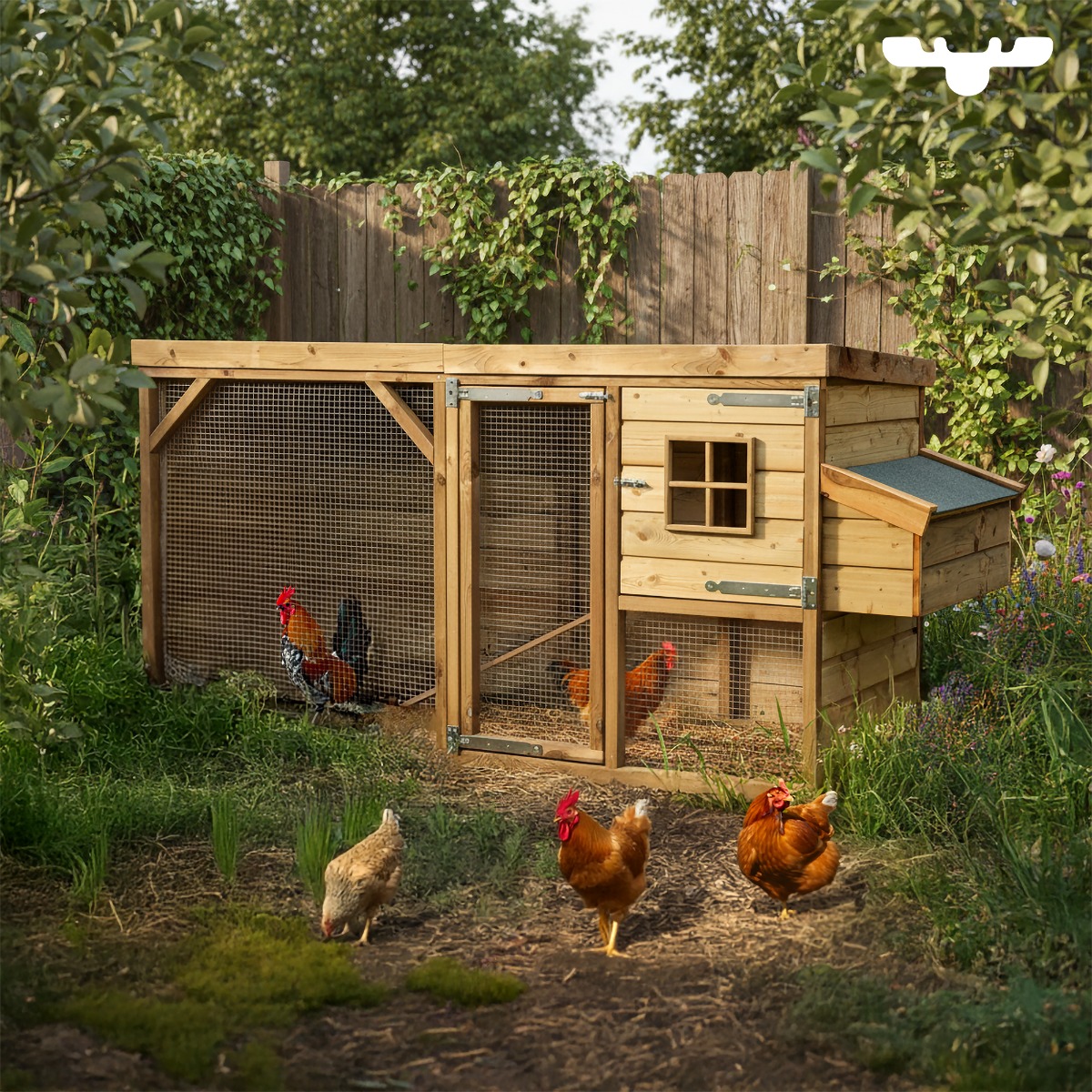 Hühnerhaus CosyChicken Cottage 618003_k Hühnerhaus CosyChicken Cottage 618003_k